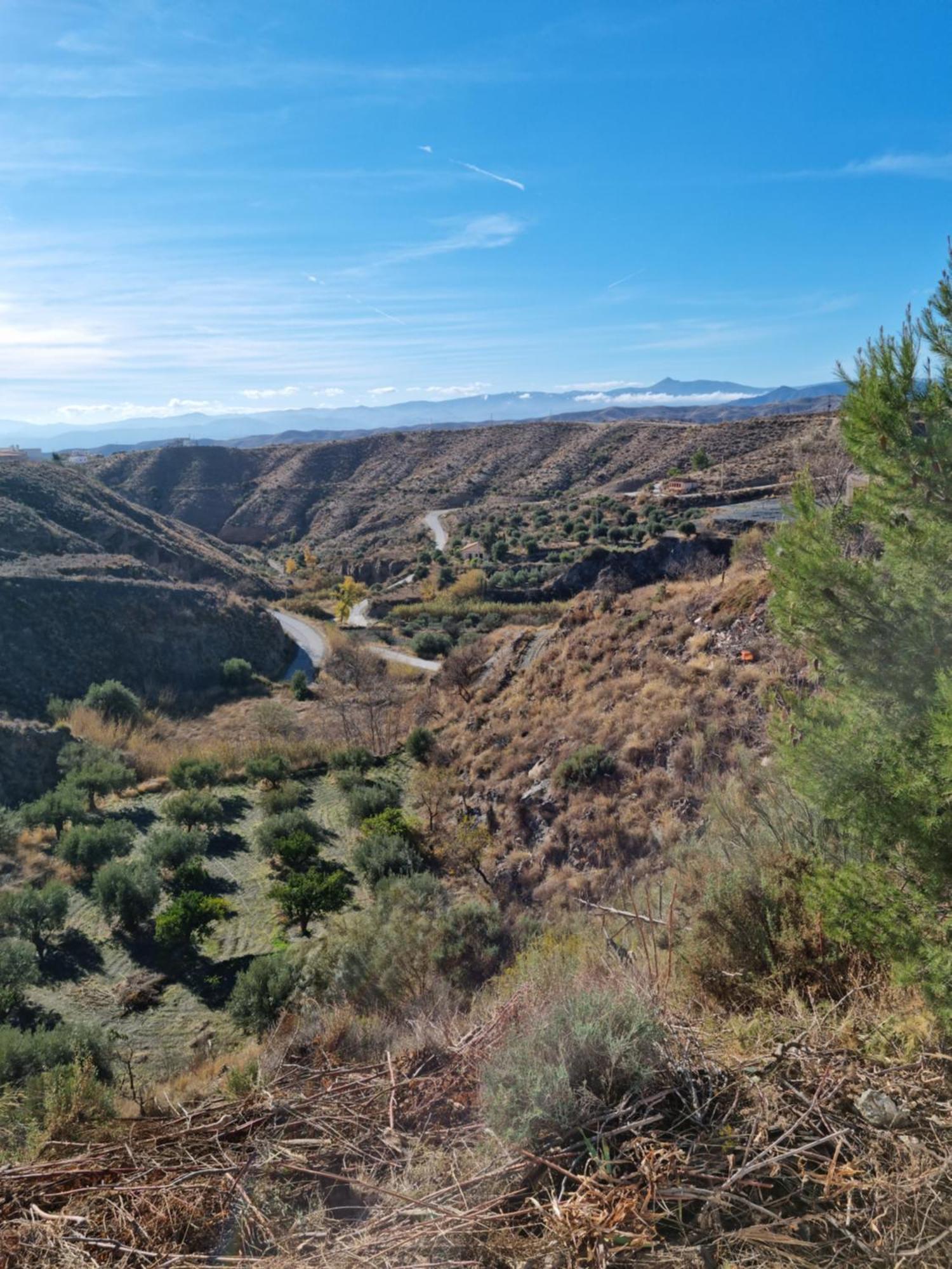 Cortijo Naturista Con Vistas-Clothing Optional Oria Bagian luar foto