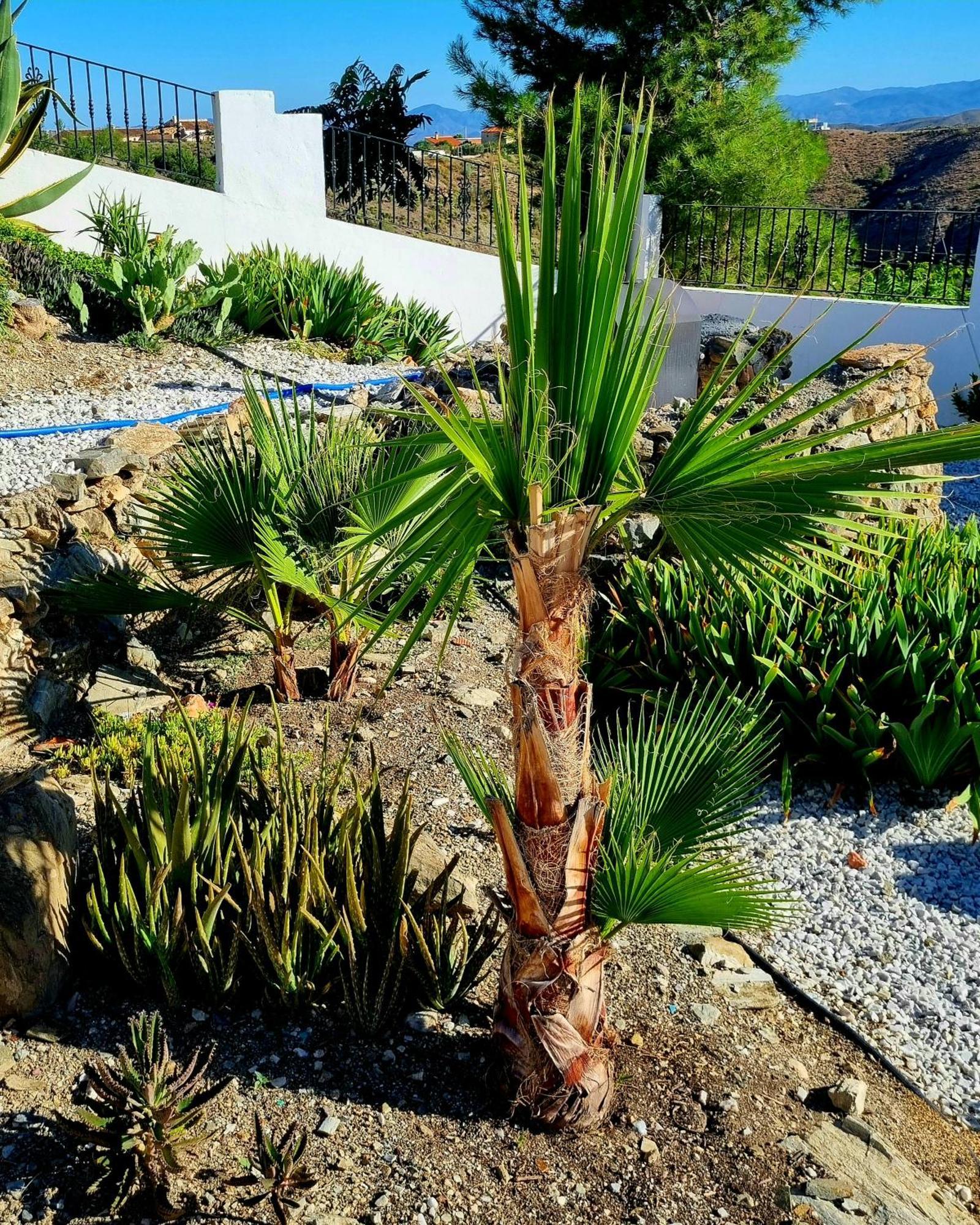 Cortijo Naturista Con Vistas-Clothing Optional Oria Bagian luar foto