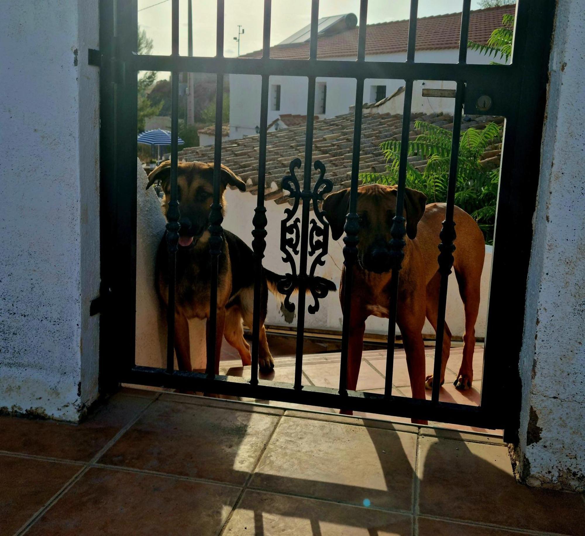 Cortijo Naturista Con Vistas-Clothing Optional Oria Bagian luar foto